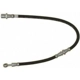 Purchase Top-Quality Front Brake Hose by RAYBESTOS - BH381148 pa2