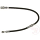 Purchase Top-Quality Front Brake Hose by RAYBESTOS - BH381148 pa6