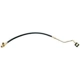 Purchase Top-Quality Front Brake Hose by RAYBESTOS - BH381184 pa1
