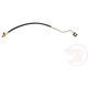 Purchase Top-Quality Front Brake Hose by RAYBESTOS - BH381184 pa5