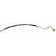 Purchase Top-Quality Front Brake Hose by RAYBESTOS - BH381185 pa1