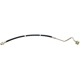 Purchase Top-Quality Front Brake Hose by RAYBESTOS - BH381185 pa4