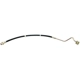 Purchase Top-Quality Front Brake Hose by RAYBESTOS - BH381185 pa7