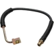Purchase Top-Quality Front Brake Hose by RAYBESTOS - BH381212 pa2