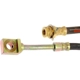 Purchase Top-Quality Front Brake Hose by RAYBESTOS - BH381216 pa3