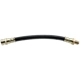 Purchase Top-Quality Front Brake Hose by RAYBESTOS - BH38123 pa2
