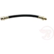 Purchase Top-Quality Front Brake Hose by RAYBESTOS - BH38123 pa4