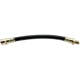 Purchase Top-Quality Front Brake Hose by RAYBESTOS - BH38123 pa5