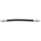 Purchase Top-Quality Front Brake Hose by RAYBESTOS - BH38124 pa1