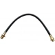 Purchase Top-Quality Front Brake Hose by RAYBESTOS - BH381247 pa6