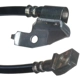 Purchase Top-Quality RAYBESTOS - BH381279 - Front Brake Hose pa3