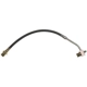Purchase Top-Quality RAYBESTOS - BH381287 - Front Brake Hose pa4
