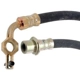 Purchase Top-Quality Front Brake Hose by RAYBESTOS - BH381295 pa1