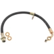 Purchase Top-Quality Front Brake Hose by RAYBESTOS - BH381295 pa4