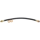 Purchase Top-Quality Front Brake Hose by RAYBESTOS - BH38132 pa4