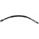 Purchase Top-Quality Front Brake Hose by RAYBESTOS - BH38133 pa2