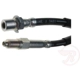 Purchase Top-Quality Front Brake Hose by RAYBESTOS - BH38133 pa6