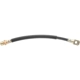 Purchase Top-Quality Front Brake Hose by RAYBESTOS - BH381342 pa8