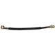 Purchase Top-Quality Front Brake Hose by RAYBESTOS - BH381345 pa2
