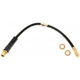 Purchase Top-Quality Front Brake Hose by RAYBESTOS - BH381347 pa14