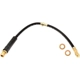 Purchase Top-Quality Front Brake Hose by RAYBESTOS - BH381347 pa16