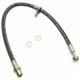 Purchase Top-Quality Front Brake Hose by RAYBESTOS - BH381351 pa1
