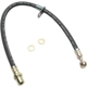 Purchase Top-Quality Front Brake Hose by RAYBESTOS - BH381351 pa2