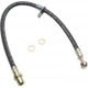 Purchase Top-Quality Front Brake Hose by RAYBESTOS - BH381351 pa6