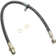Purchase Top-Quality Front Brake Hose by RAYBESTOS - BH381351 pa7