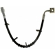 Purchase Top-Quality Front Brake Hose by RAYBESTOS - BH381355 pa11