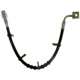 Purchase Top-Quality Front Brake Hose by RAYBESTOS - BH381355 pa2