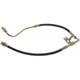 Purchase Top-Quality Front Brake Hose by RAYBESTOS - BH381364 pa11