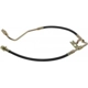 Purchase Top-Quality Front Brake Hose by RAYBESTOS - BH381364 pa12