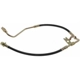 Purchase Top-Quality Front Brake Hose by RAYBESTOS - BH381364 pa14