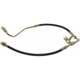 Purchase Top-Quality Front Brake Hose by RAYBESTOS - BH381364 pa2