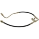 Purchase Top-Quality Front Brake Hose by RAYBESTOS - BH381364 pa8