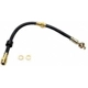 Purchase Top-Quality Front Brake Hose by RAYBESTOS - BH381372 pa1
