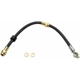 Purchase Top-Quality Front Brake Hose by RAYBESTOS - BH381373 pa6