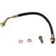 Purchase Top-Quality Front Brake Hose by RAYBESTOS - BH381534 pa9