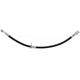 Purchase Top-Quality Front Brake Hose by RAYBESTOS - BH381544 pa12