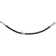 Purchase Top-Quality Front Brake Hose by RAYBESTOS - BH381544 pa13