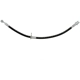 Purchase Top-Quality Front Brake Hose by RAYBESTOS - BH381544 pa14