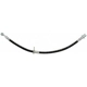 Purchase Top-Quality Front Brake Hose by RAYBESTOS - BH381544 pa2
