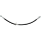 Purchase Top-Quality Front Brake Hose by RAYBESTOS - BH381544 pa4