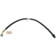Purchase Top-Quality Front Brake Hose by RAYBESTOS - BH381557 pa11