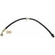 Purchase Top-Quality Front Brake Hose by RAYBESTOS - BH381557 pa2