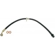 Purchase Top-Quality Front Brake Hose by RAYBESTOS - BH381557 pa9