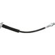 Purchase Top-Quality Front Brake Hose by RAYBESTOS - BH38159 pa8