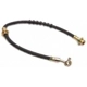 Purchase Top-Quality Front Brake Hose by RAYBESTOS - BH381594 pa1