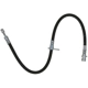Purchase Top-Quality Front Brake Hose by RAYBESTOS - BH381599 pa12